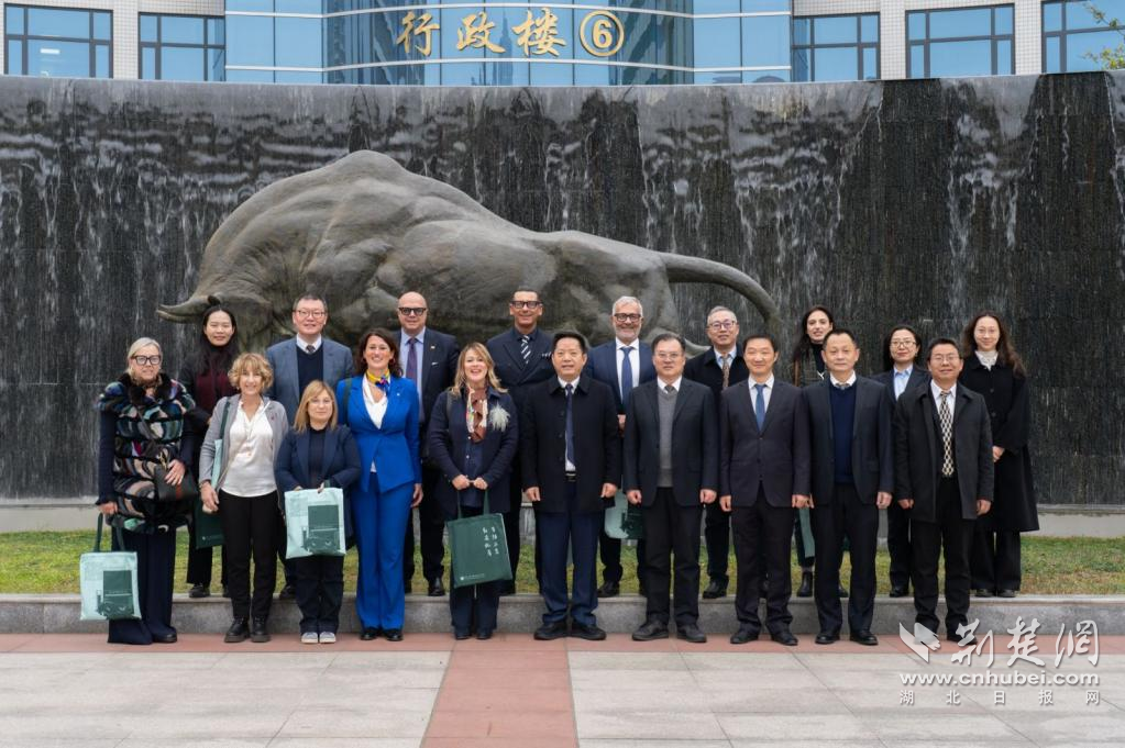 意大利皮埃蒙特大区政府代表团到访武汉电力职业技术学院开展合作交流